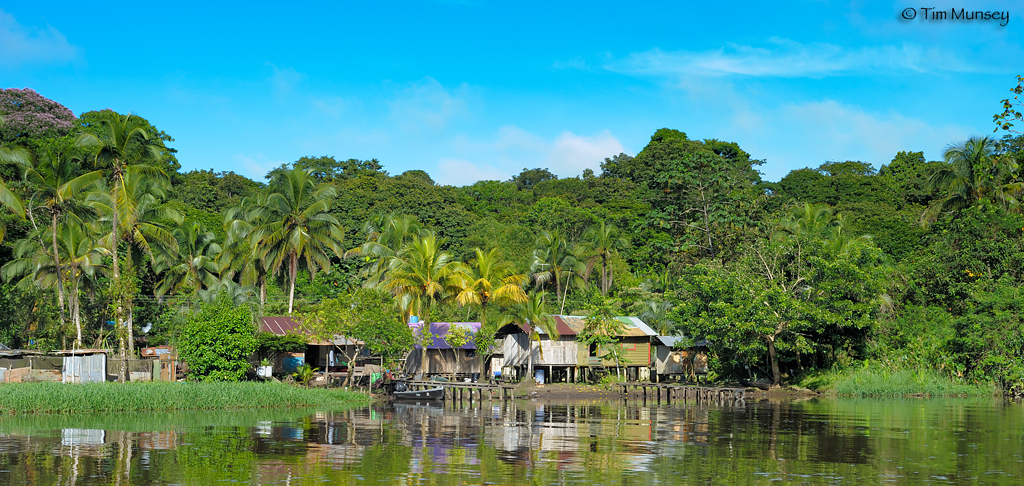 Torteguero Village